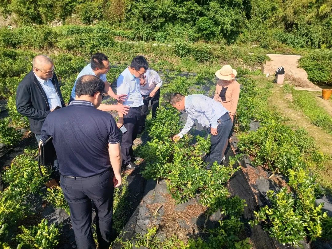 湖南商务职业技术学院:湘西特聘专家服务团启动帮扶活动